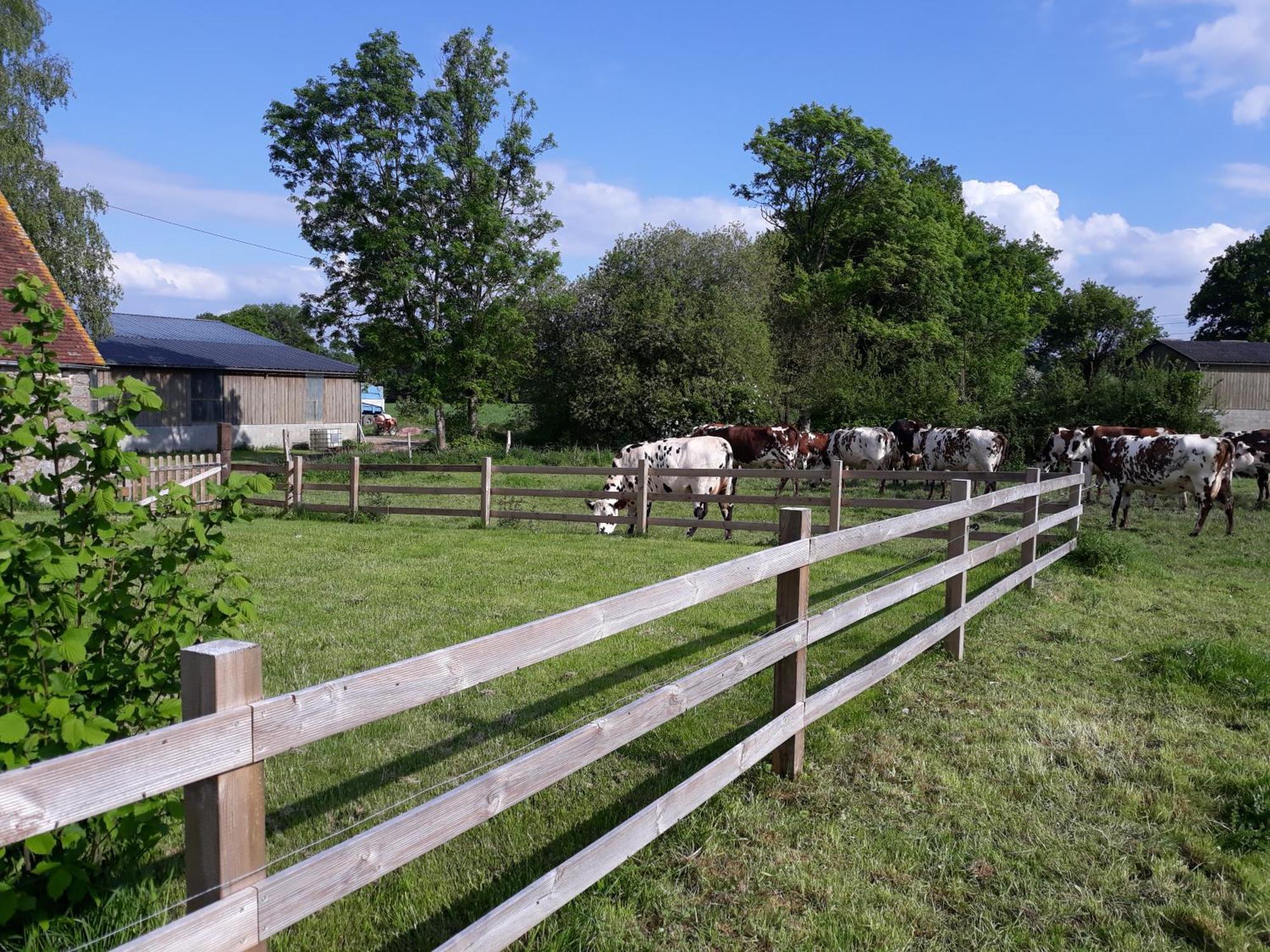 Séjour à la ferme Roulotte A La Ferme Buissonniere
